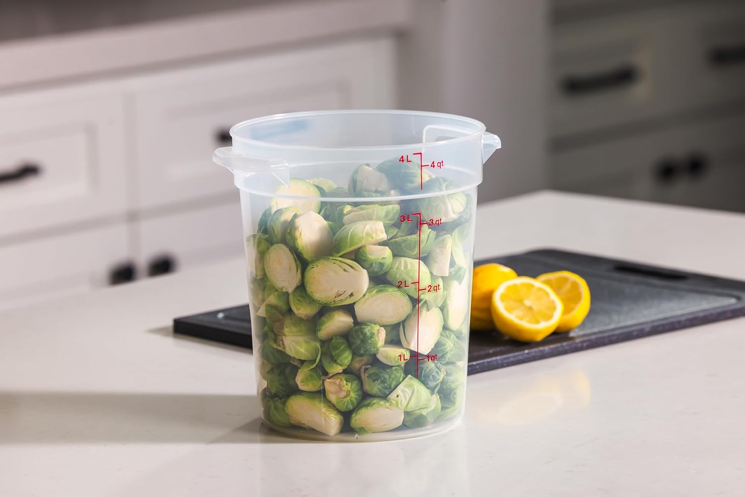 4 Quart Food Storage Container – Food Storage 4 Quart Bewertung und Preis