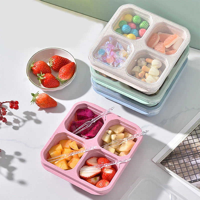 4 Grids Food Storage Box Porta – Food Storage Ideas Bewertung und Preis
