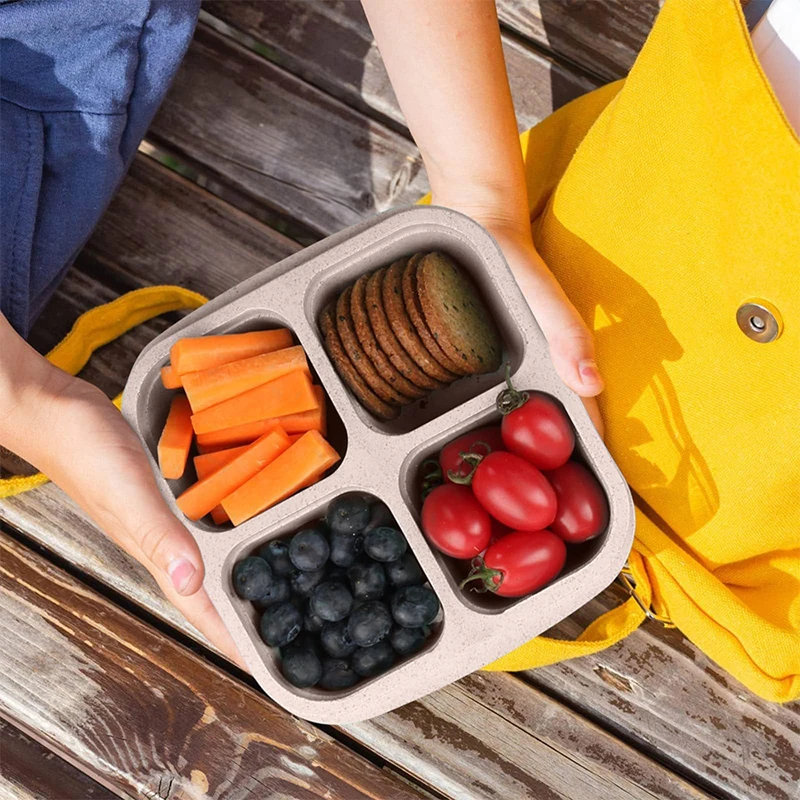 4 Grids Food Storage Box Porta – Food Storage Ideas Bewertung und Preis