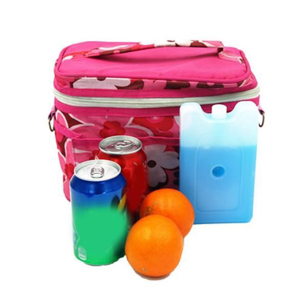 Gel Freezer Ice Blocks Travel  – Food Storage In Cooler Bewertung und Preis