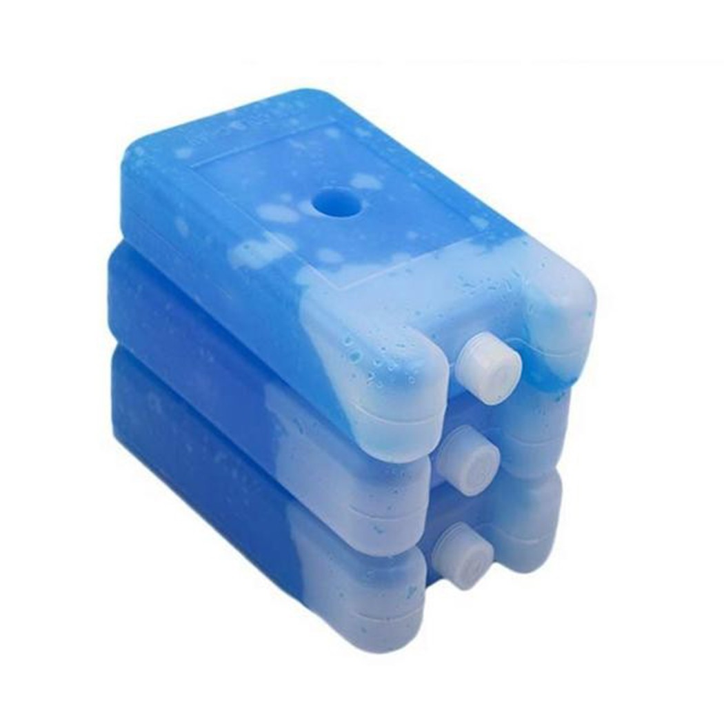 Gel Freezer Ice Blocks Travel  – Food Storage In Cooler Bewertung und Preis