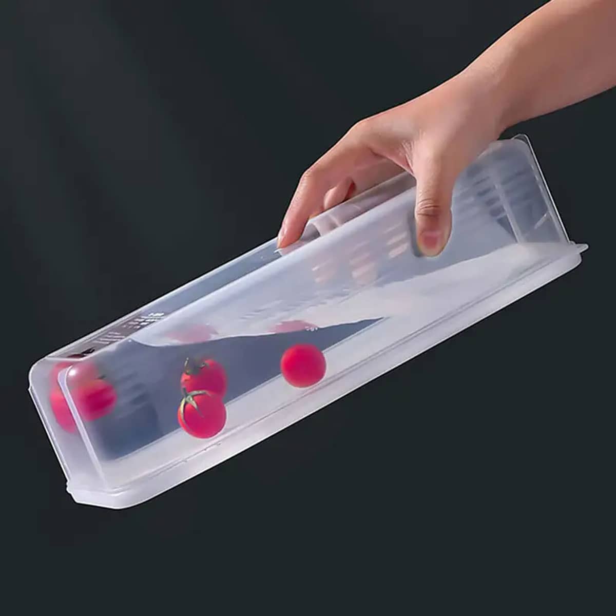 1 Plastic Transparent Storage  – Food Storage Ideas Bewertung und Preis
